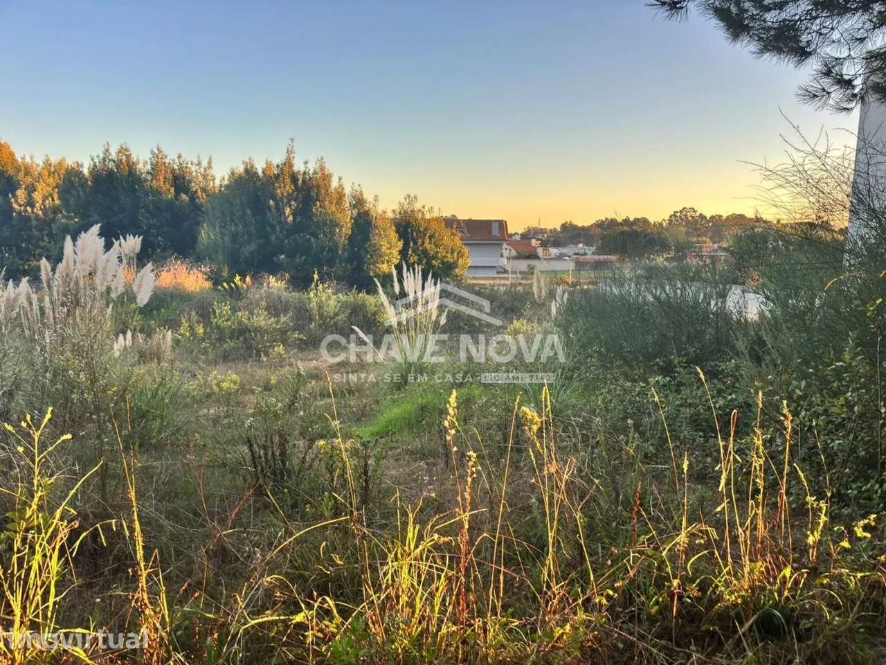 Terreno para Construção de Moradia Unifamiliar- Lote 5 - Grande imagem: 3/8