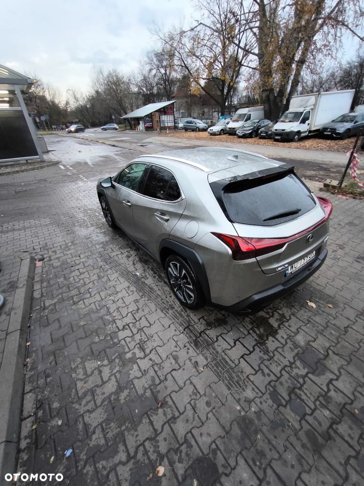 Lexus UX - 31