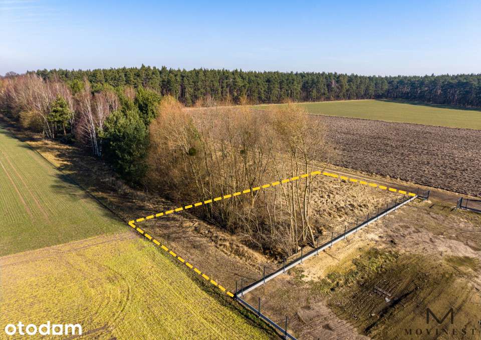 Działki budowlane Rogoźno - Pełny obrazek: 4/8