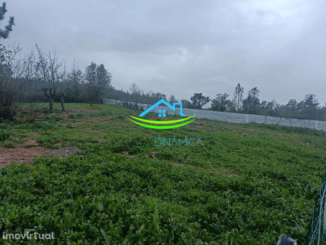 Terreno para Construção em Soure – Coimbra - Grande imagem: 3/13
