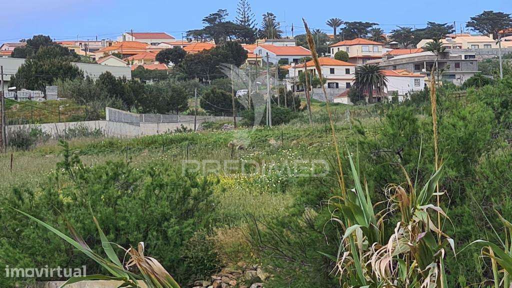 Terreno com 55031 m2 no Porto Santo - Grande imagem: 5/13