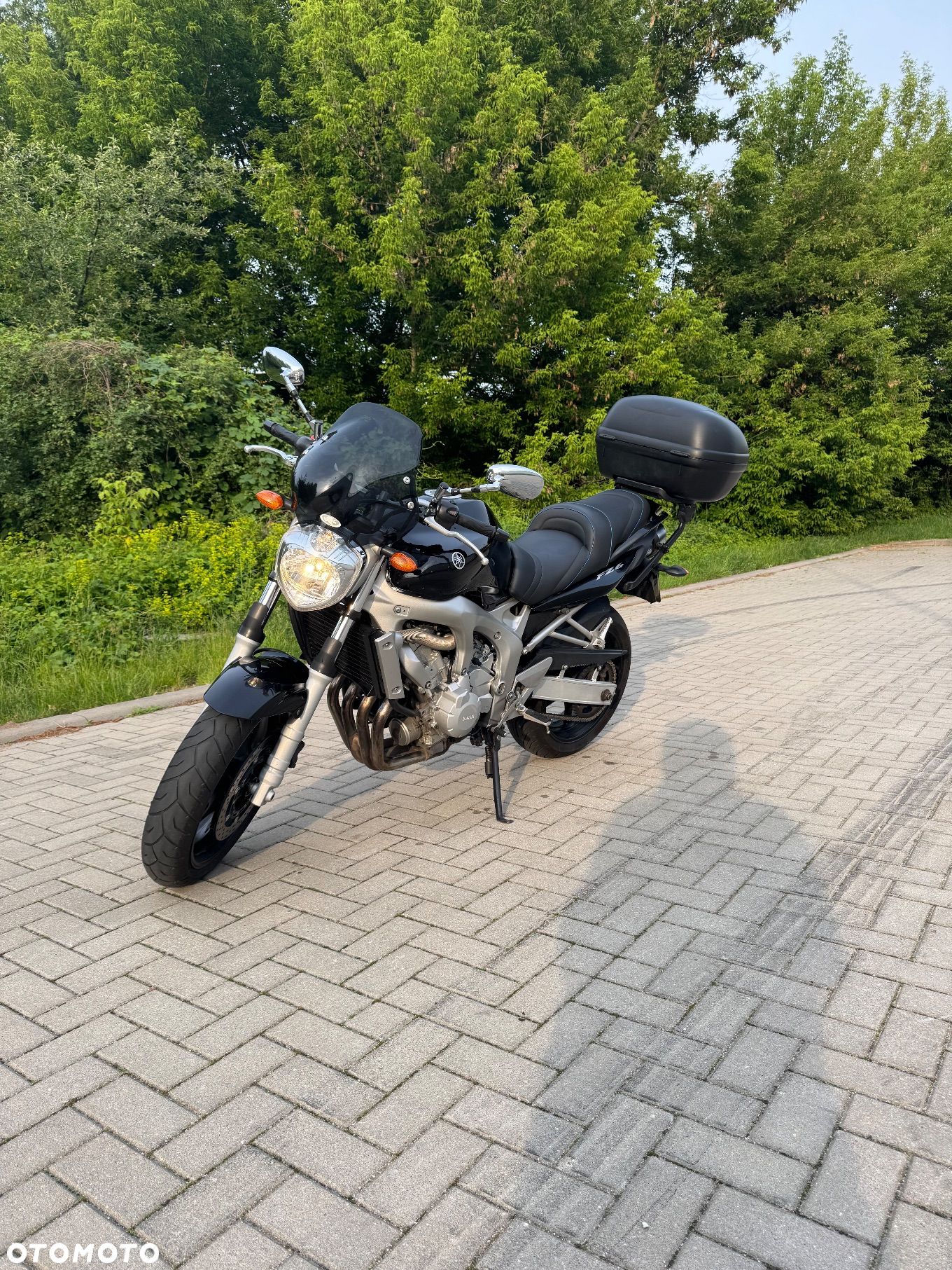 Yamaha FZ6 - 1