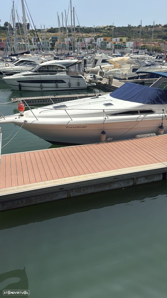 Sea Ray 310 sundancer - 1