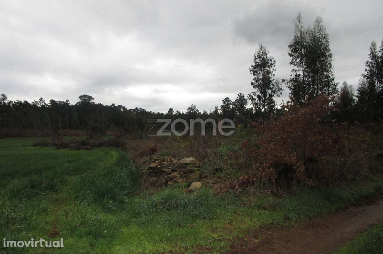 Excelente Lote de Terreno rústico em Fradelos, Vila Nova de Famalic... - Grande imagem: 5/15