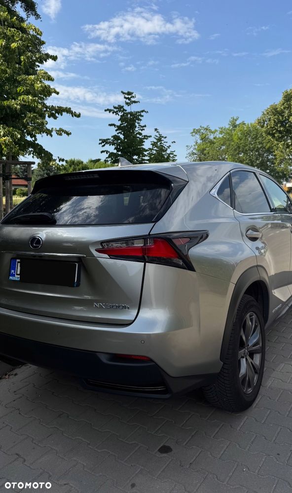 Lexus NX - 3