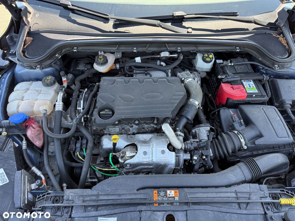 Ford Focus 1.5 EcoBlue Trend - 20