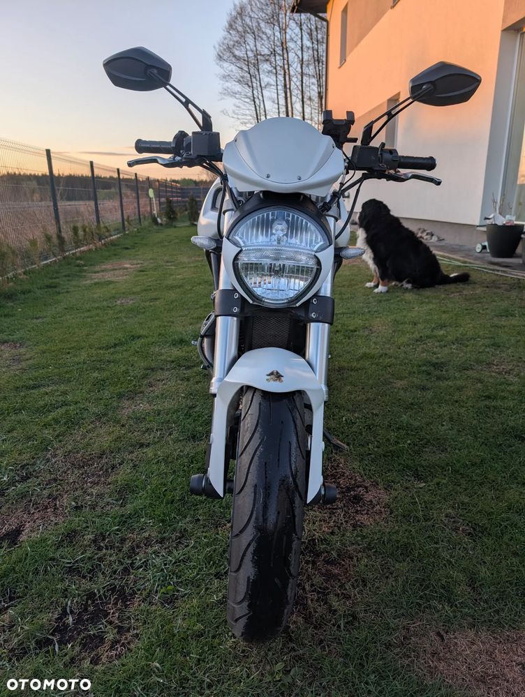 Ducati Monster - 3