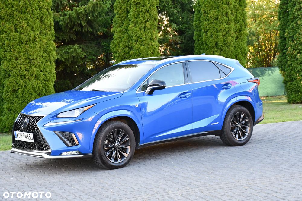 Lexus NX 300h E-FOUR F SPORT - 4