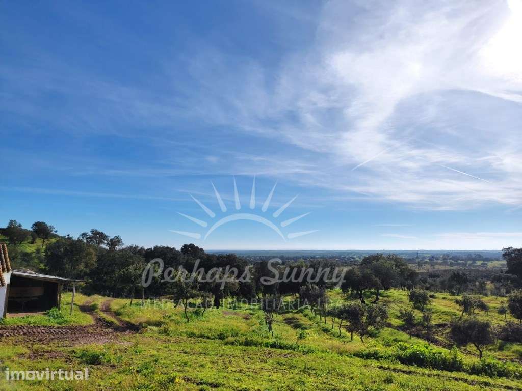 Herdade 45ha Azinheira dos Barros - Grande imagem: 2/17