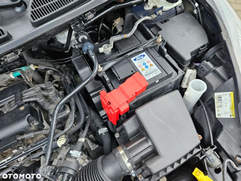 Ford Fiesta 1.25 Champions Edition - 22