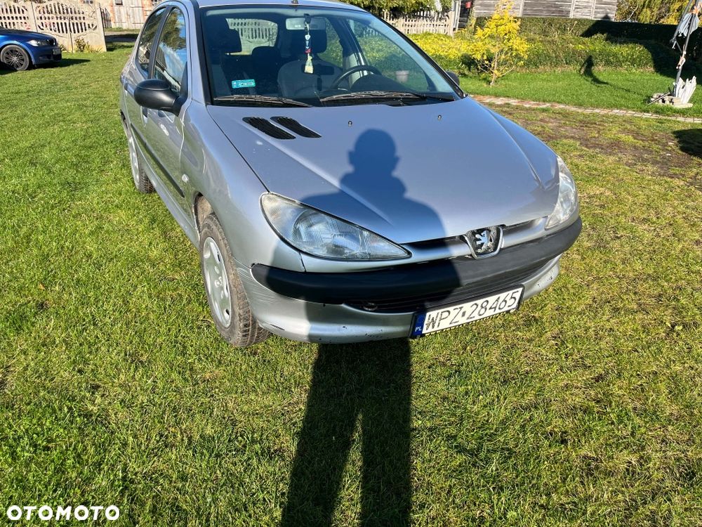 Peugeot 206 - 6