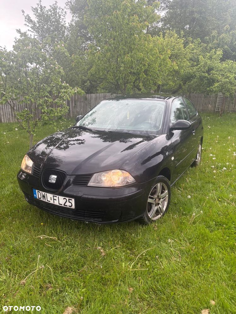Seat Ibiza - 13