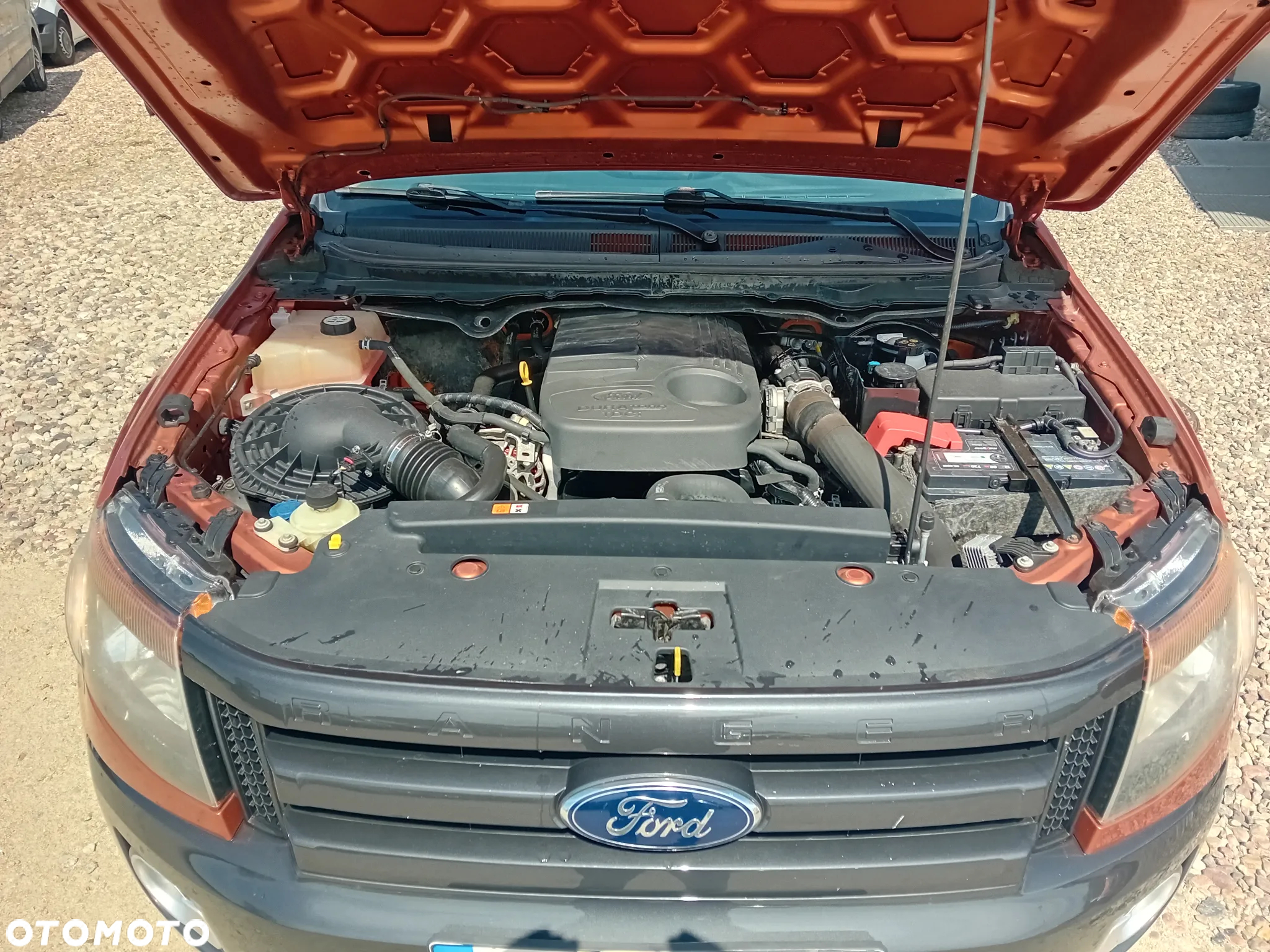 Ford Ranger 3.2 TDCi 4x4 DC Wildtrak - 24
