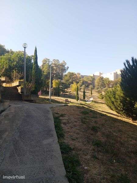 T3 Livre Santo António dos Cavaleiros (Negociável) - Grande imagem: 3/10