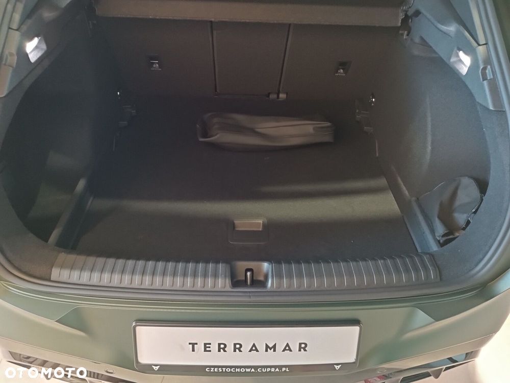 Cupra Terramar 2.0 TSI 4Drive Tribe Edition DSG - 10