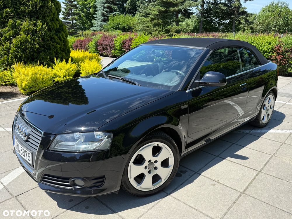 Audi A3 Cabrio 1.6 Ambition - 12