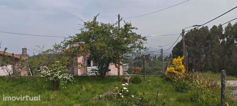 Terreno para construção perto futuro Centro Alto Rendimento Olival - Grande imagem: 2/2