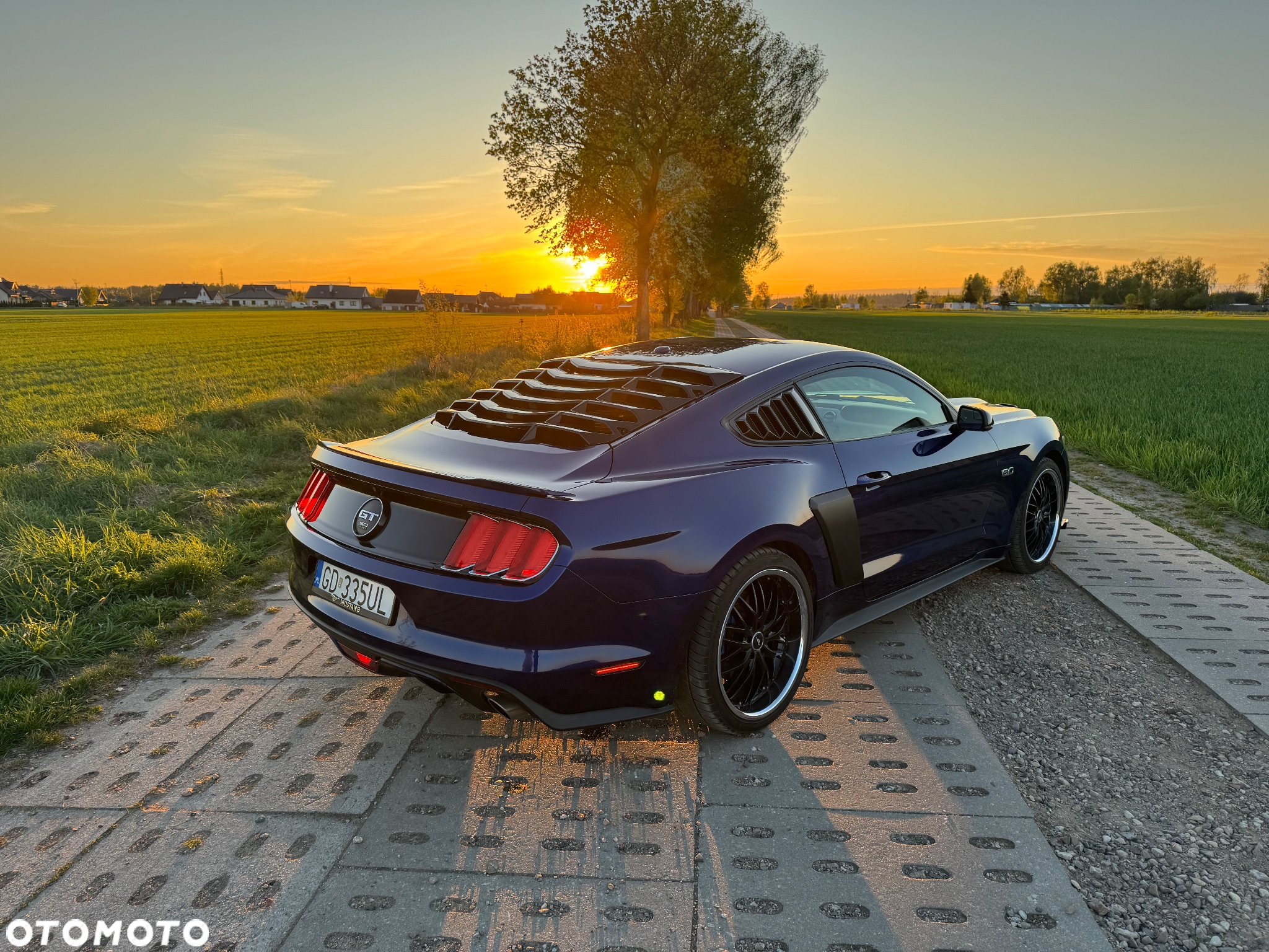 Ford Mustang 5.0 V8 GT - 5