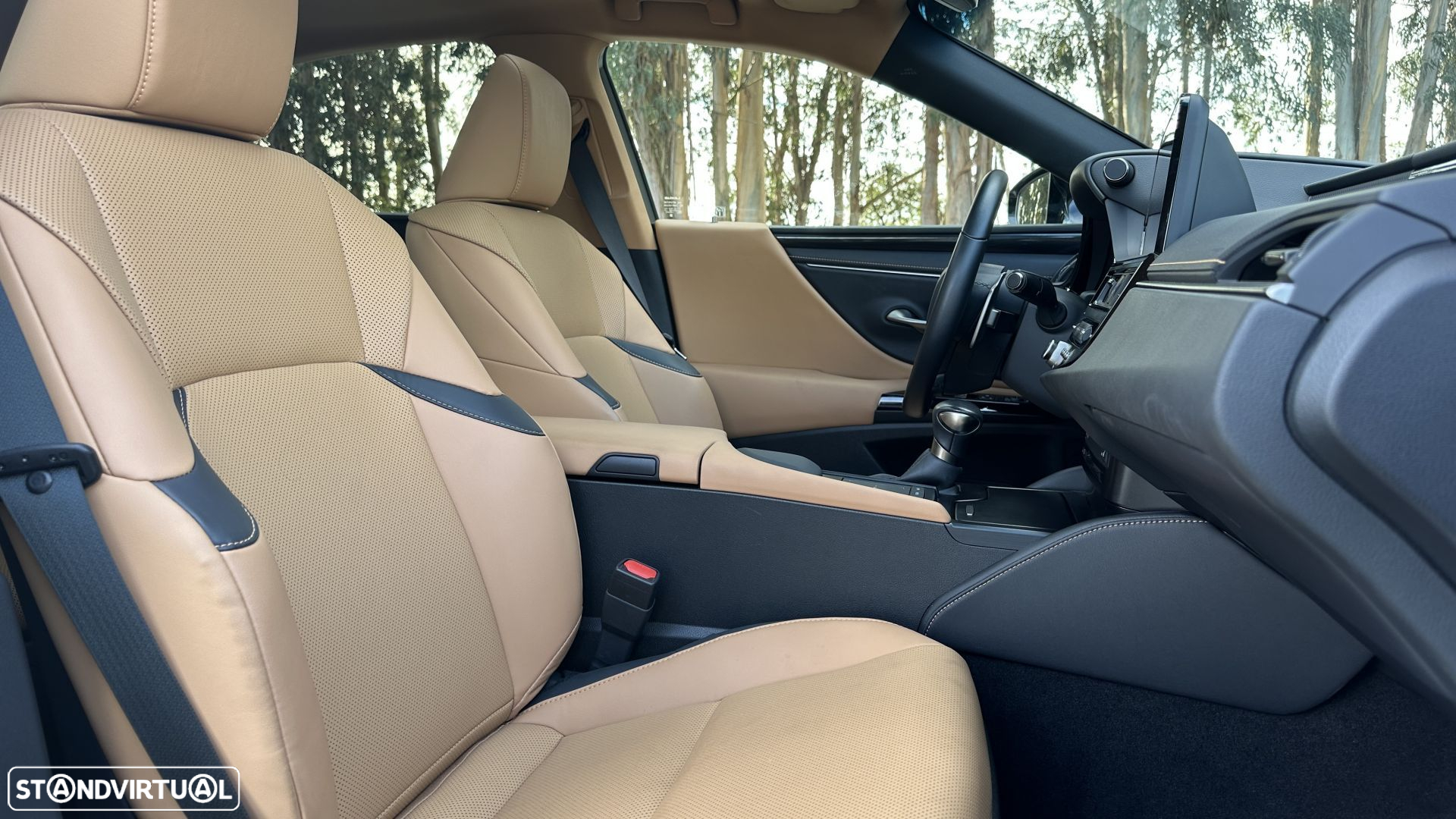 Lexus ES 300h Special Edition - 12