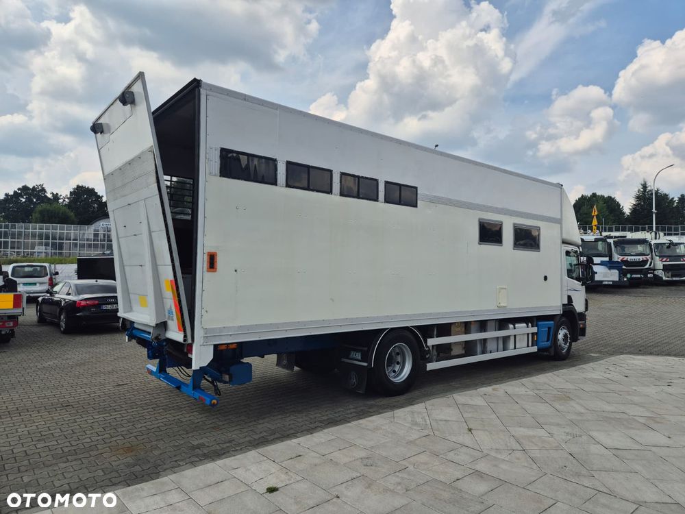 Scania P94LB 300 4X2 / KONIOWÓŻ / DO PRZEWOZU ZWIERZĄT / BYDŁO / KONIE / POMIESZCZENIE GOSPODARCZE / SERWISOWANY / 1WŁ / 5 MIEJSC / MANUAL / RAMPA - 7
