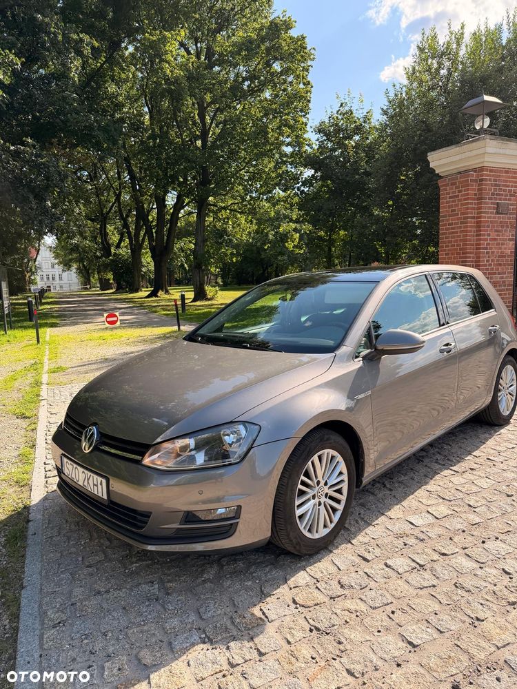 Volkswagen Golf 1.6 TDI BlueMot Trendline - 2