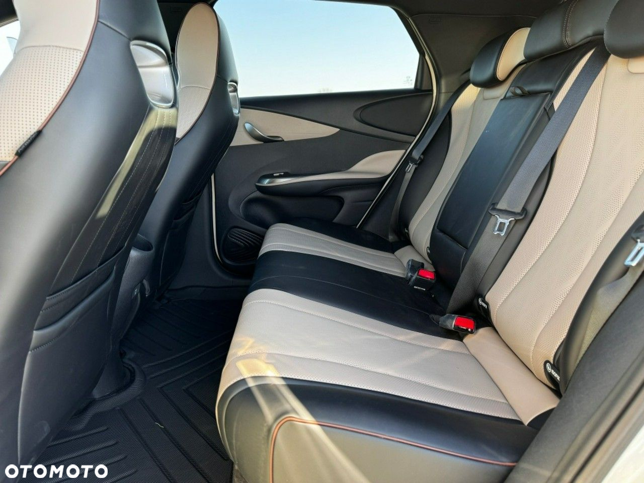 BYD Dolphin Active - 19