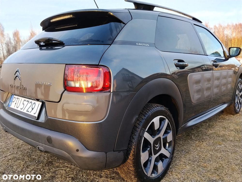 Citroën C4 Cactus - 13