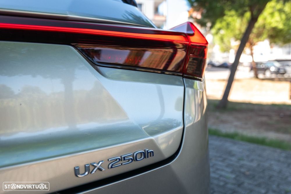 Lexus UX Special Edition (LCA) — fotografia 12