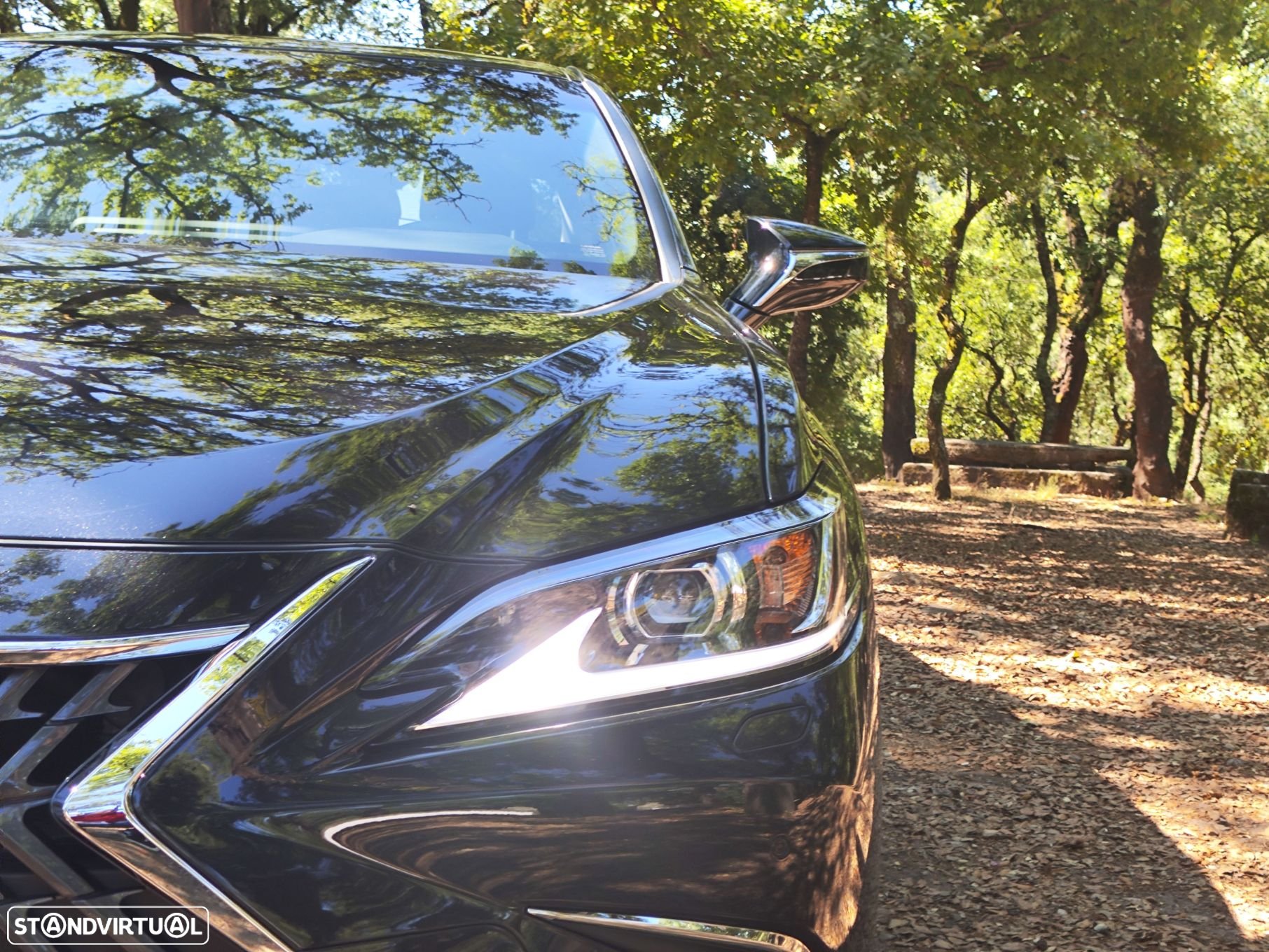 Lexus ES 300h Special Edition - 16