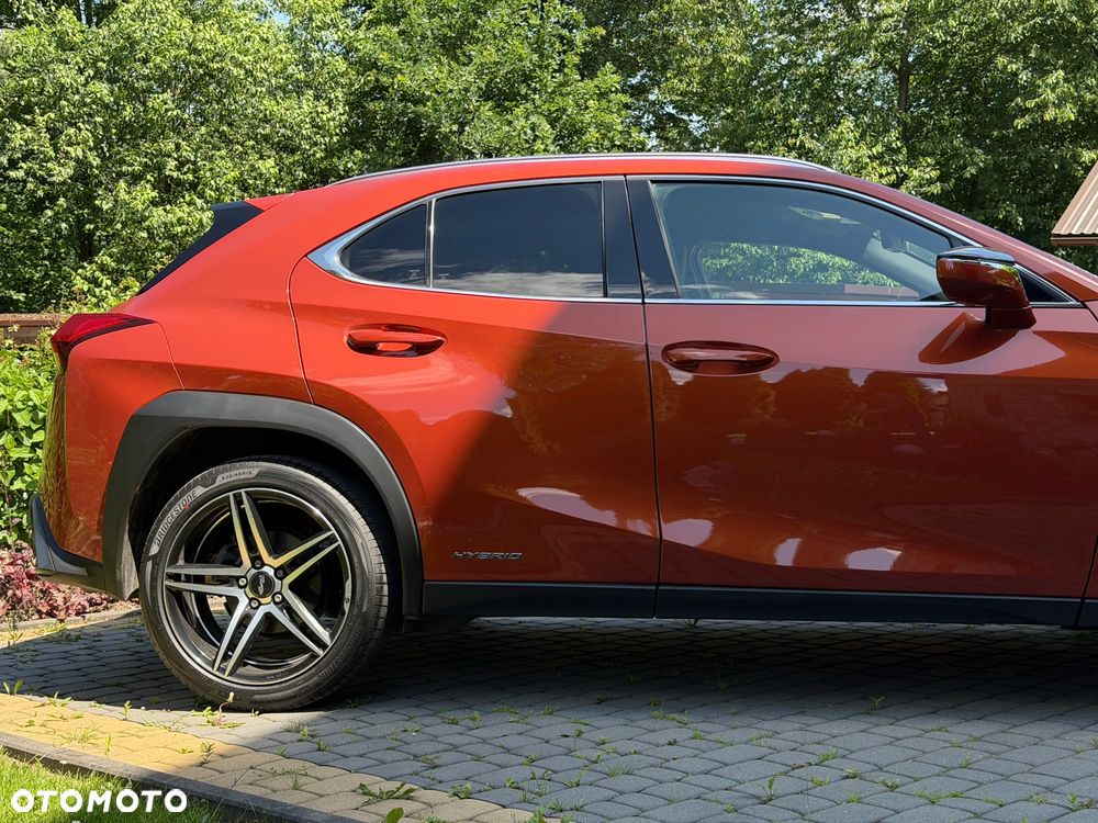 Lexus UX 250h GPF F Sport AWD - 10