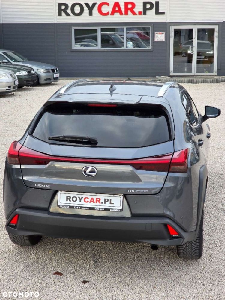 Lexus UX - 24