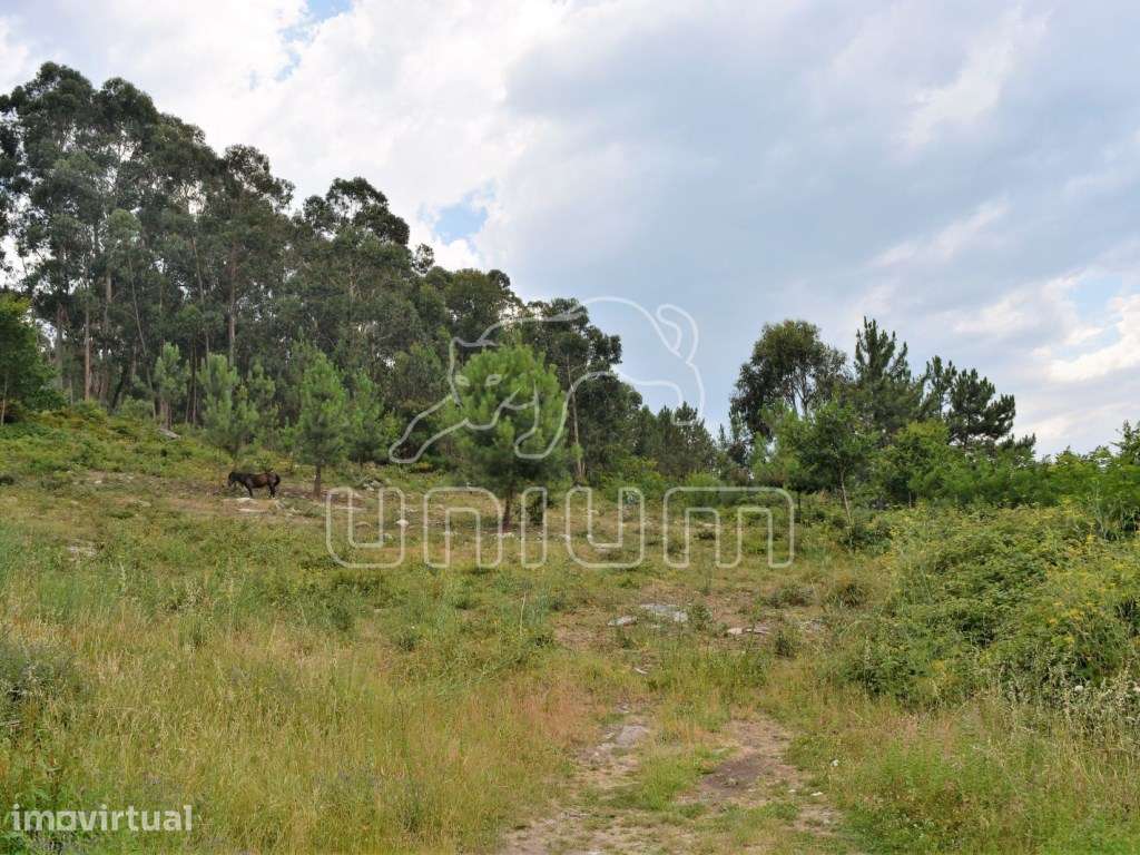 Terreno em Afife - Grande imagem: 4/9