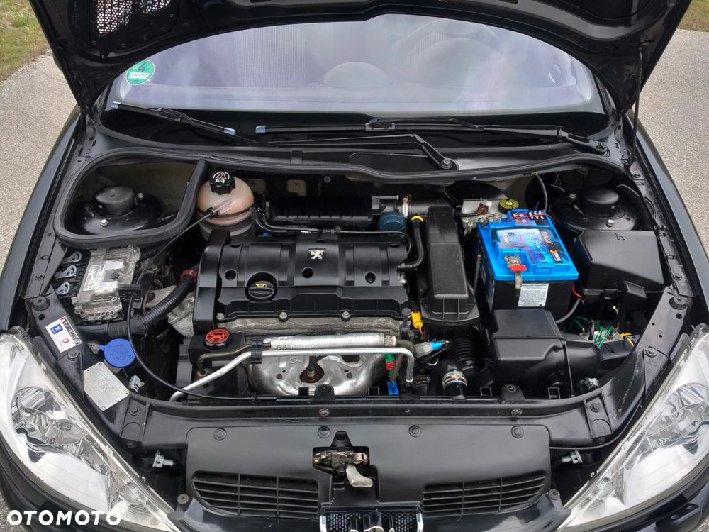 Peugeot 206 CC 110 Quiksilver - 30