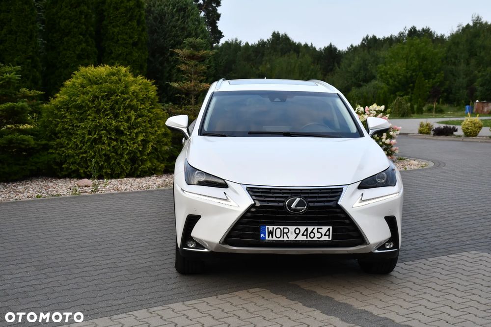 Lexus NX 300 AWD Executive Line - 3