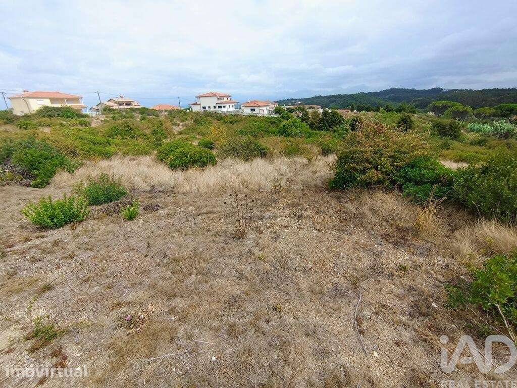 Terreno Agrícola em Santo António dos Olivais - Grande imagem: 4/25