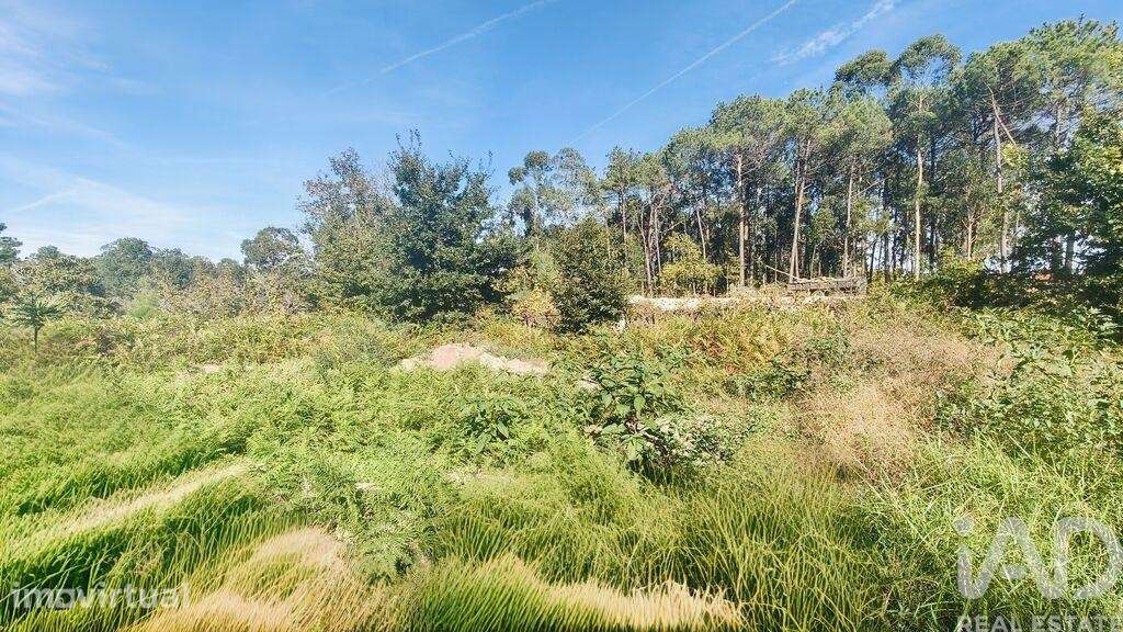 Terreno Agrícola em Reboreda e Nogueira - Grande imagem: 4/6