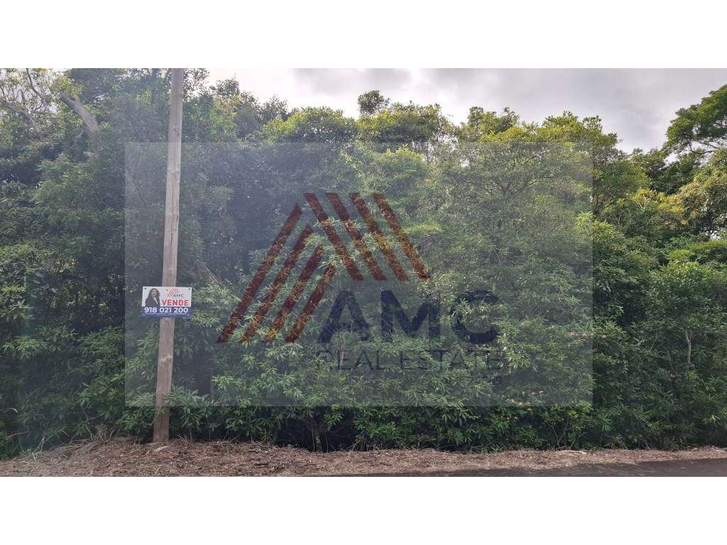 VENDE-SE TERRENO COM VIABILIDADE CONSTRUÇÃO NAS BANDEIRAS - Grande imagem: 4/8