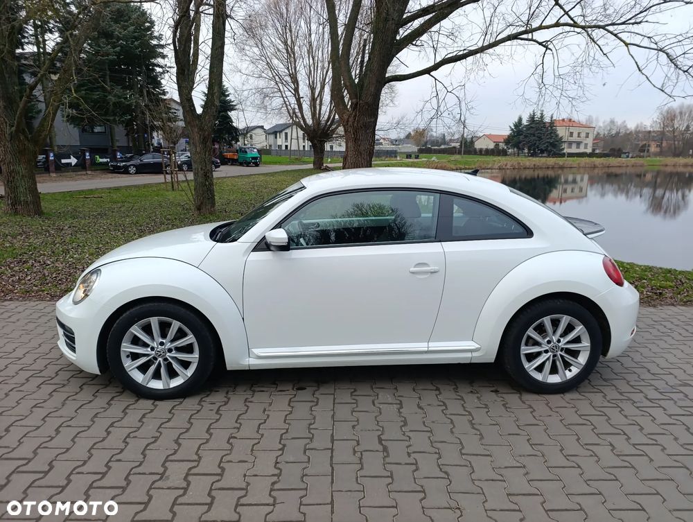 Volkswagen Beetle - 6