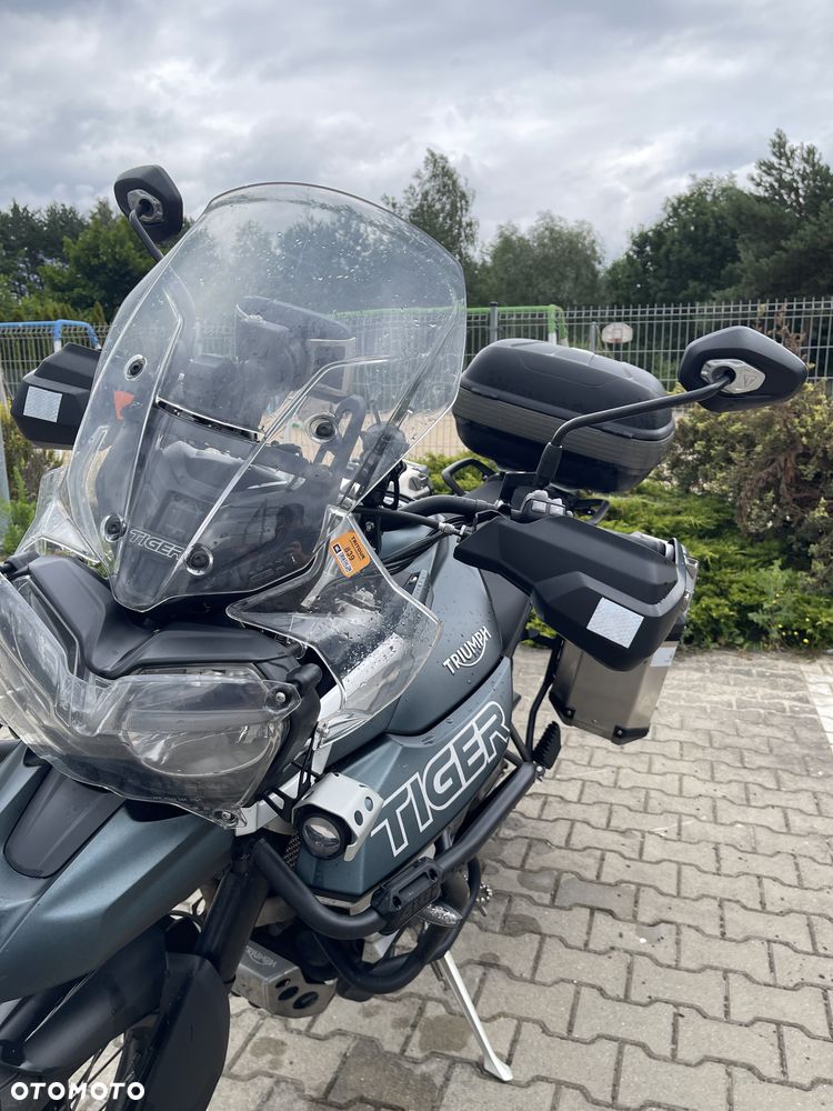 Triumph Tiger - 21