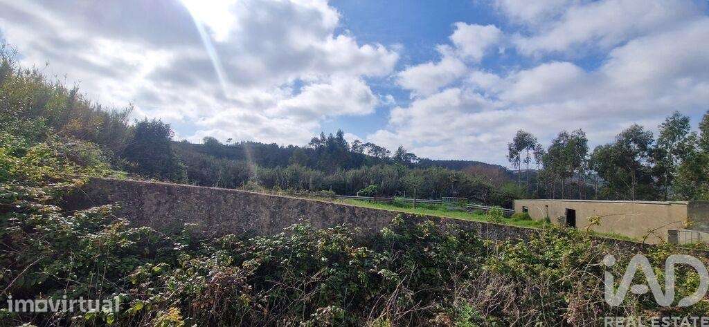 Terreno em Mafra de 8875,00 m2 - Grande imagem: 4/28