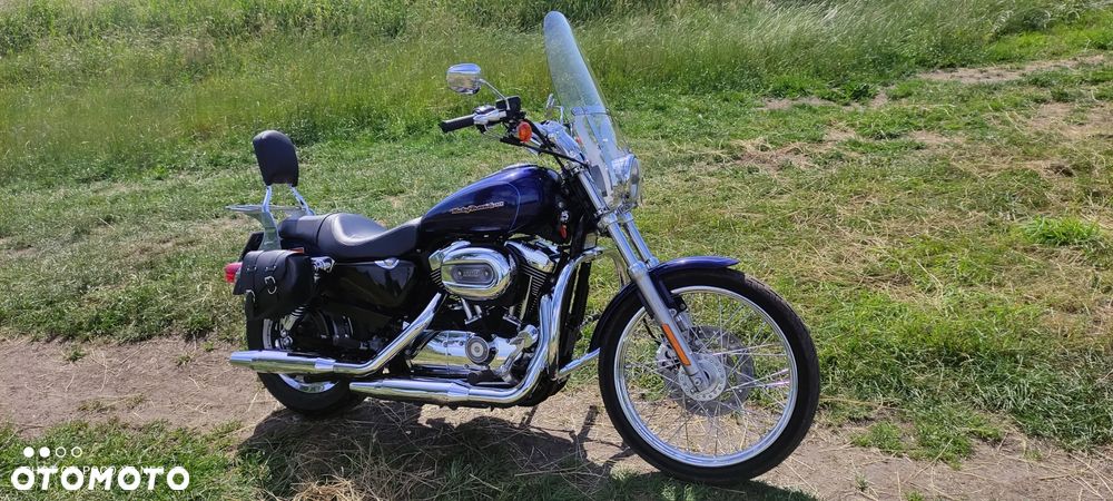 Harley-Davidson Sportster Custom 1200C - 13