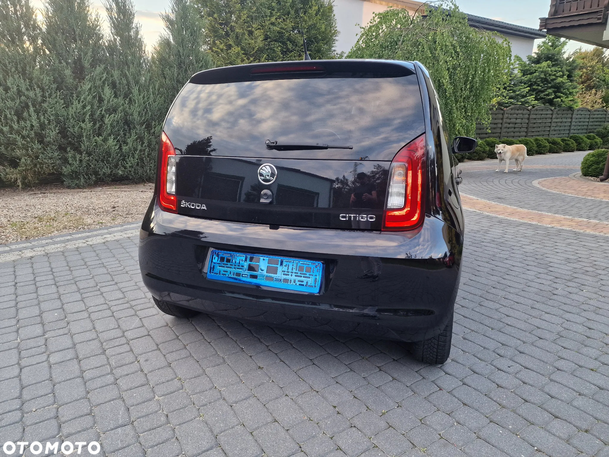 Skoda Citigo 1.0 Elegance - 7