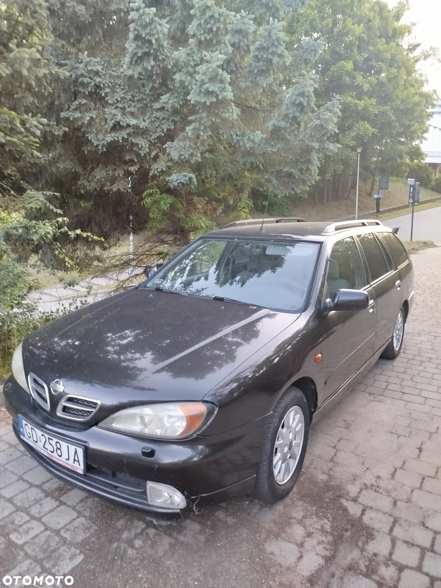 Nissan Primera 2.0 Comfort High - 1