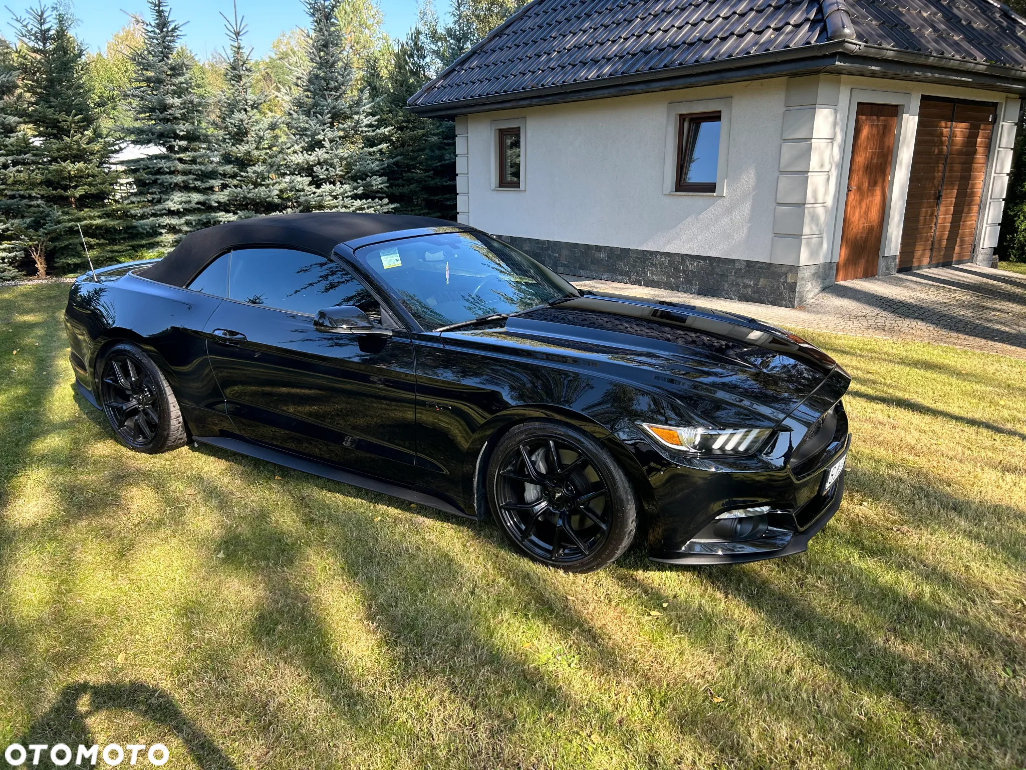 Ford Mustang - 5