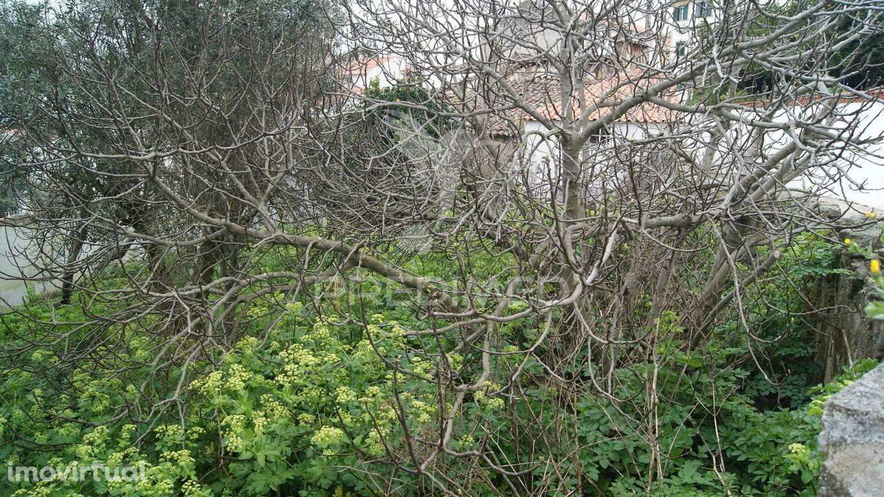 Moradia 2 pisos com quintal Carreiras/Portalegre - Grande imagem: 5/12