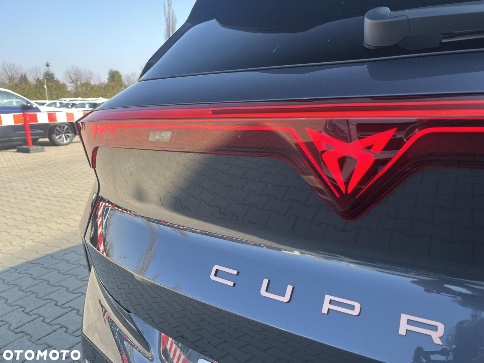 Cupra Terramar - 31