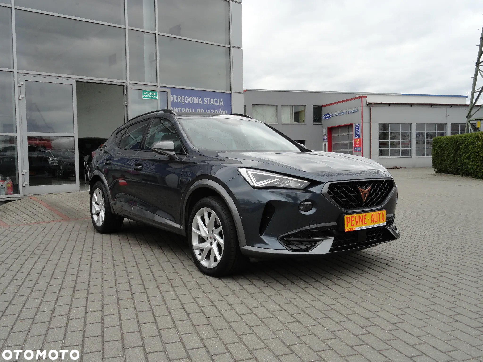 Cupra Formentor 1.5 TSI DSG Tribe Edition - 33