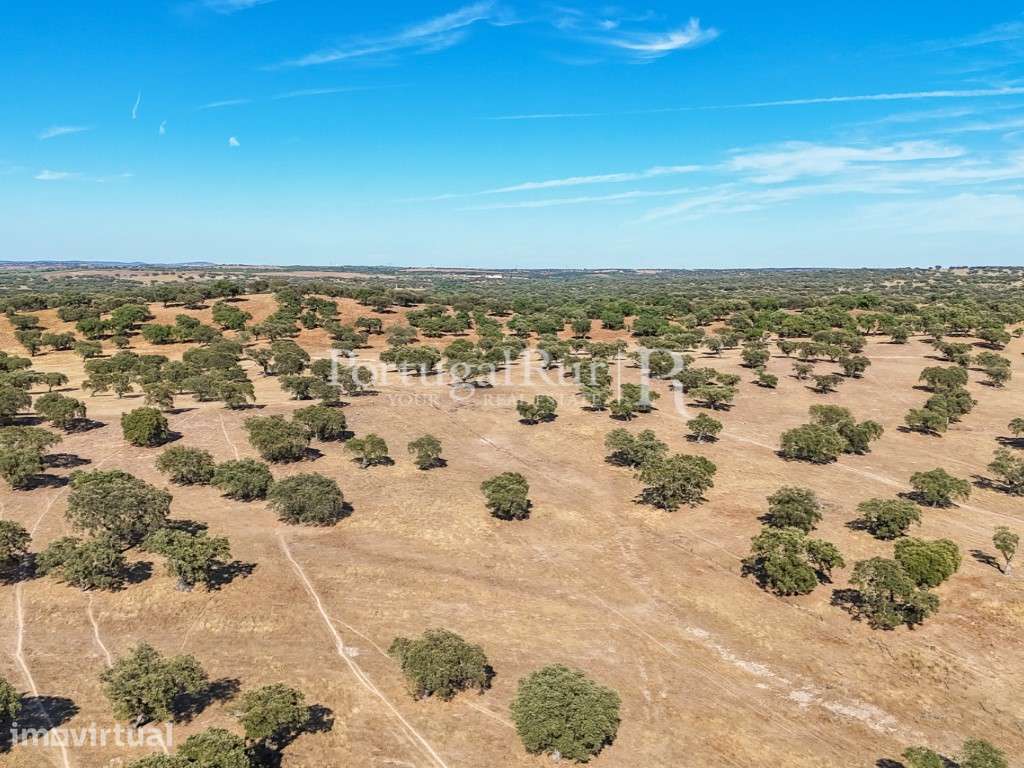 Herdade 80 hectares confinante com a Barragem - Grande imagem: 5/9