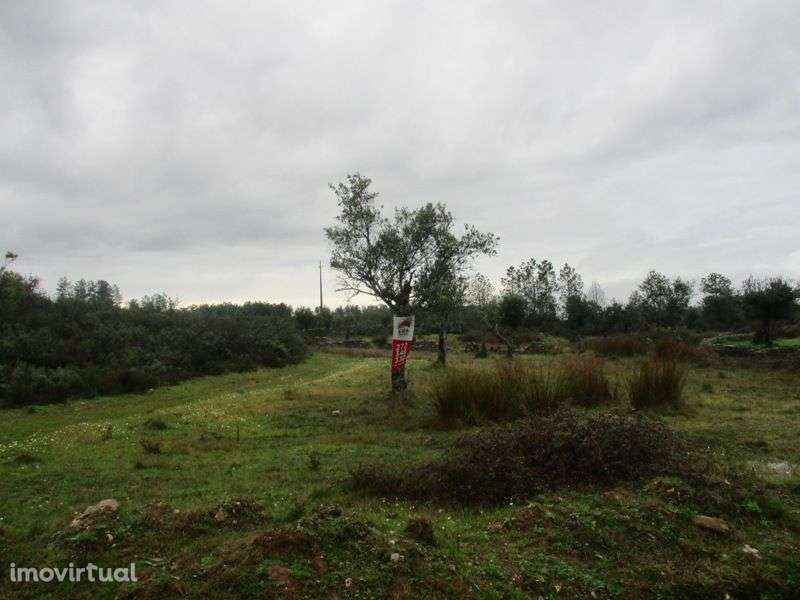 Terreno - Grande imagem: 4/8