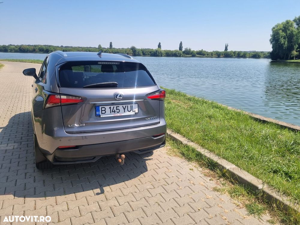 Lexus Seria NX 300h AWD Executive Plus - 6